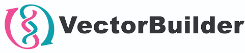 vector builder